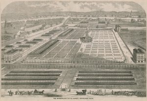 The Metropolitan Cattle Market, Copenhagen Fields, London by English School