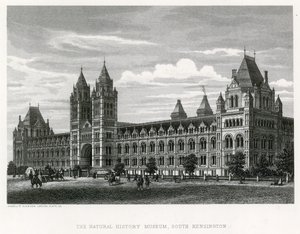 The Natural History Museum, 1881