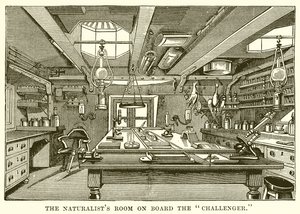 The Naturalist
