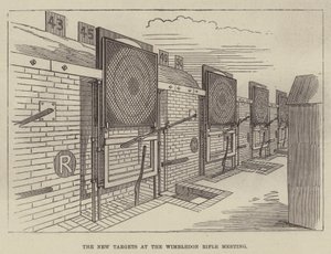 The New Targets at the Wimbledon Rifle Meeting by English School