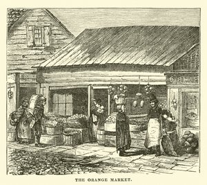 The Orange Market