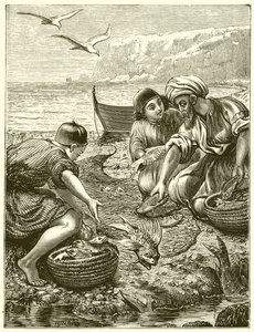 The Parable of the Net
