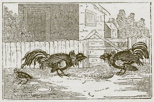 The Partridge and the Cocks