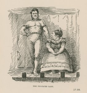The Pig-Faced Lady by English School