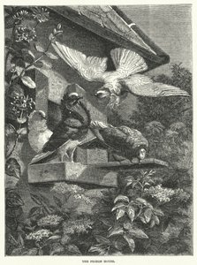 The Pigeon House by English School
