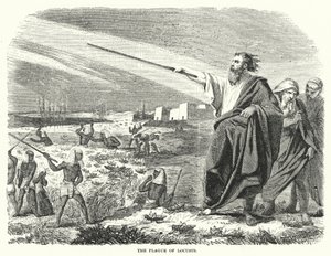 The Plague of Locusts