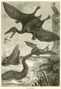 The Pterodactyl