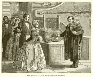The Queen in the Woodwardian Museum by English School