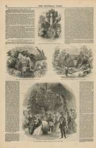 The Royal Botanic Gardens by English School