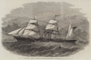 The Screw Steam-Ship 