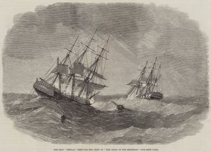 The Ship 