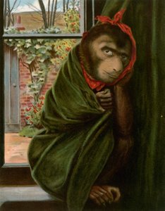 The Sick Monkey