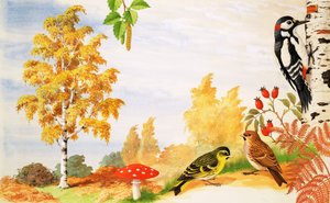 The Silver Birch Tree and animals and plants you might find around it