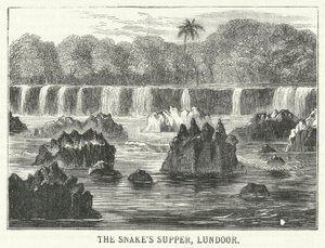The Snake