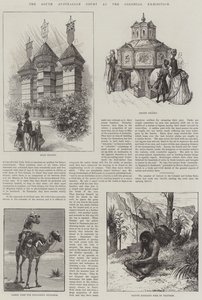 The South Australian Court at the Colonial Exhibition by English School