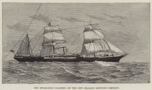 The Steam-Ship Ruapehu, of the New Zealand Shipping Company by English School