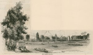 The Thames Regatta by English School