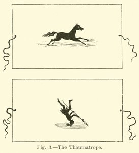 The Thaumatrope