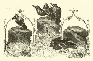 The Three Crows by English School