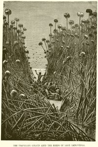 The Traveller Giraud Amid the Reeds of Lake Bangweolo by English School