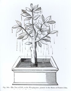 The Tree of Life, or the Weeping Tree, Planted in the States of Prester John, Illustration from Science and Literature in the Middle Ages and the Renaissance, Written and Engraved by Paul Lacroix, 1878