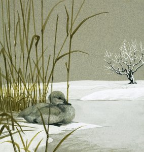 The Ugly Duckling by English School