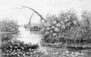 The Vessels in the Grass-Barrier, from 