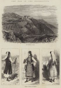 The War in the Herzegovina by English School