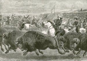 The Wild West at the Great American Exhibition - Hunting Bison and Wapiti Deer by English School