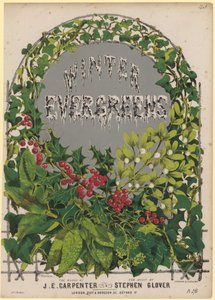 The Winter Evergreens by English School