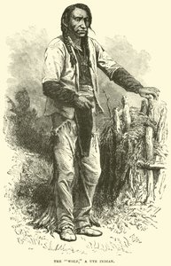 The Wolf, a Ute Indian by English School