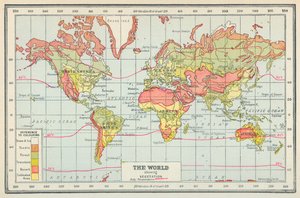 The World Showing Vegetation by English School