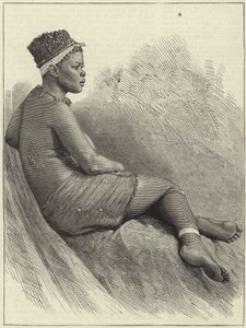 The Zulu War by English School