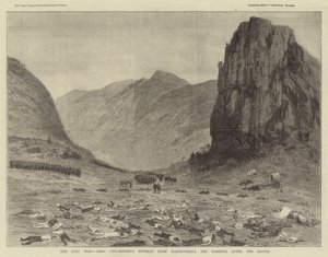 The Zulu War, Lord Chelmsford