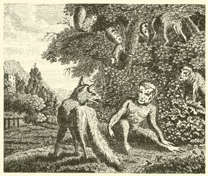 The Ape and the Fox