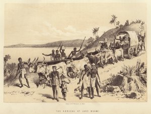 The Arrival at Lake Ngami by English School