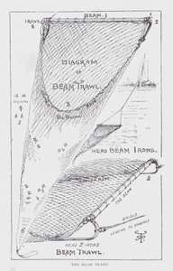 The beam trawl by English School