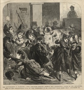 The Cattle Show at Islington by English School