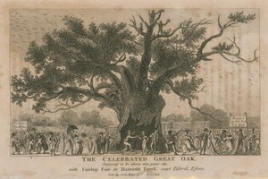 The celebrated Great Oak, supposed to be above 1800 years old