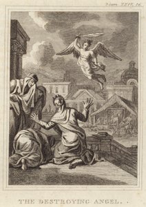 The Destroying Angel by English School