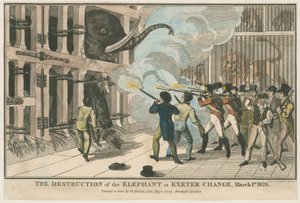 The Destruction of the Elephant at Exeter Change, 1 March 1826