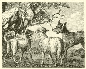 The dog and the sheep