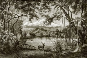 The Enchanted Lake in the Philippine Island by English School