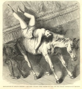 The Fiery Untamed Steed Forgets His Part, and the Curtain Unfortunately Descends