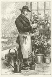 The Florist by English School
