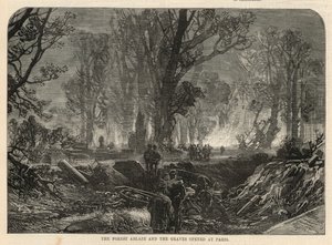 The forest ablaze and the graves opened at Paris