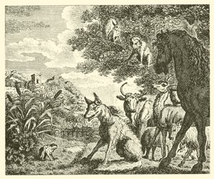 The frog and the fox
