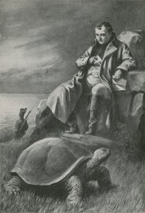 The Giant Tortoise That Saw Napoleon by English School