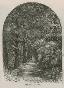 The Green Lane, Holland House by English School