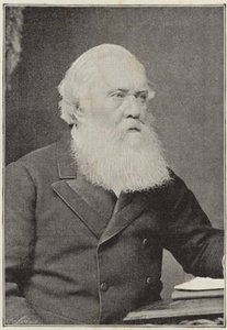 The Late Right Hon. Sir Austin Henry Layard by English School